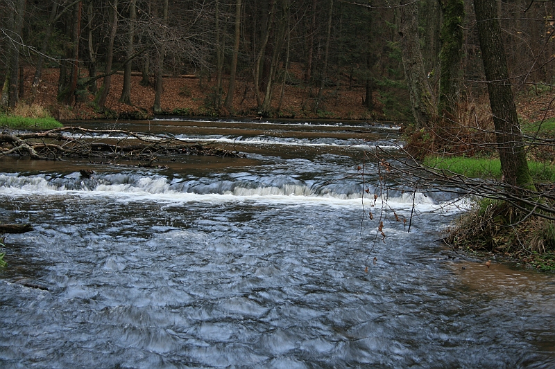 Rostoczek 11.2008 162